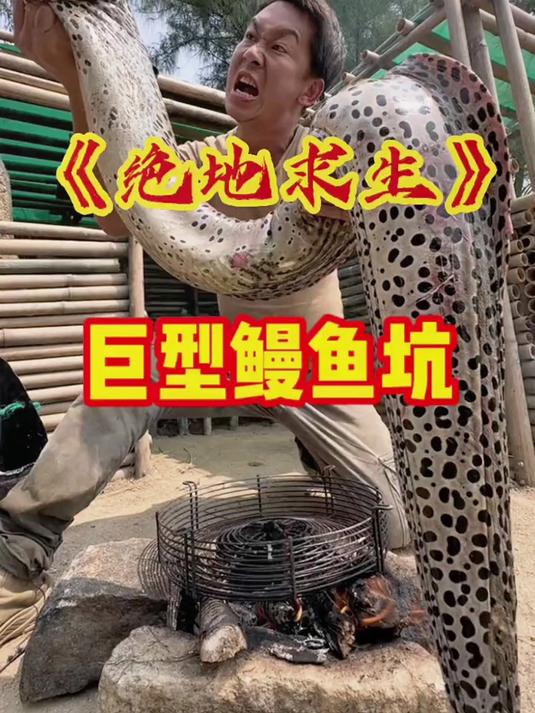 将吃剩下的龙虾壳捣碎，用袜子包起来，扔进海里当诱饵！