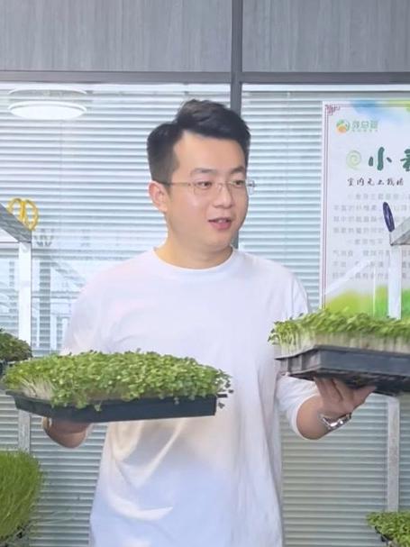 自用自来水的水培芽苗菜