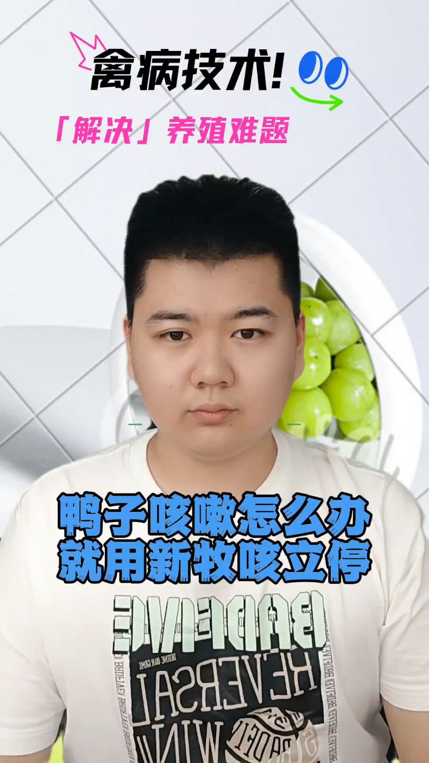 鸭咳嗽是什么原因导致的鸭子咳嗽用什么鸭子感冒咳嗽吃什么产蛋鸭感冒咳嗽用什么