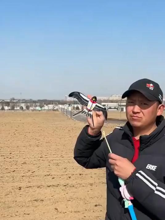 2026 儿童手持风筝,迷你钓鱼竿设计,卡通蝴蝶燕子微风好飞
