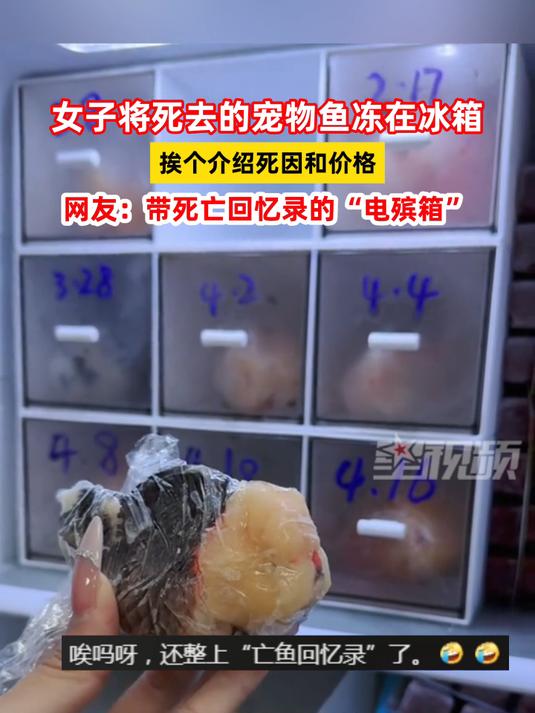女子将死去的宠物鱼冻在冰箱,挨个介绍死因和价格,网友:带死亡回忆录的电殡箱