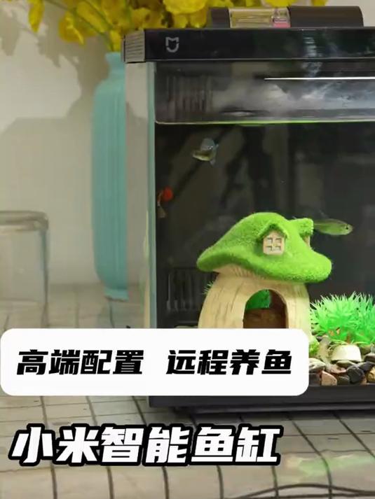 小米米家智能生态鱼缸