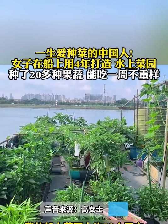 一生爱种菜的中国人！女子在船上用4年打造 水上菜园