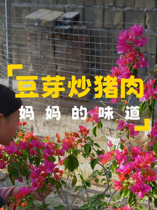 阳光正好,我种下包菜和芹菜小苗,晚上简单做一道豆芽炒猪肉