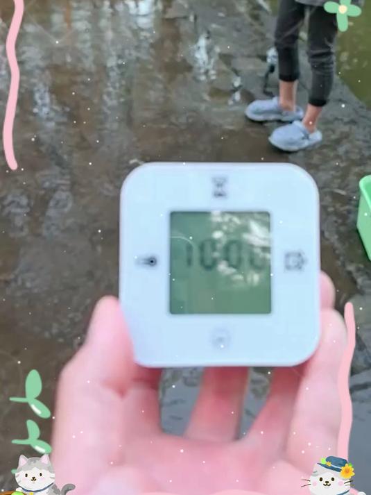 入门钓鱼选啥装备?小物钓竿套装性价比高,买了就能钓