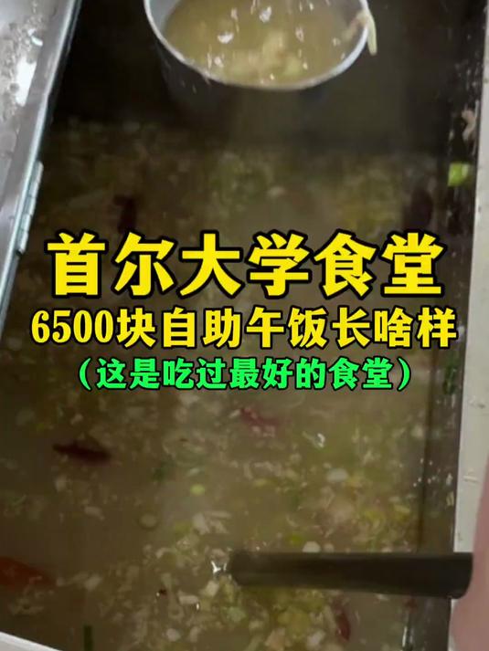 首尔大学食堂6500元自助午饭长啥样?