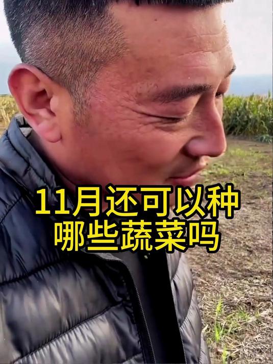 11月还可以种哪些蔬菜？
