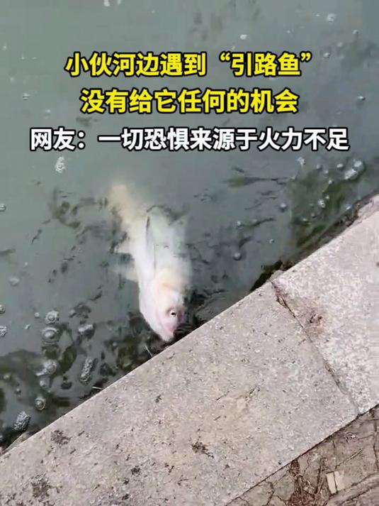 小伙河边遇到“引路鱼”没有给它任何的机会 网友:一切恐惧来源于火力不足