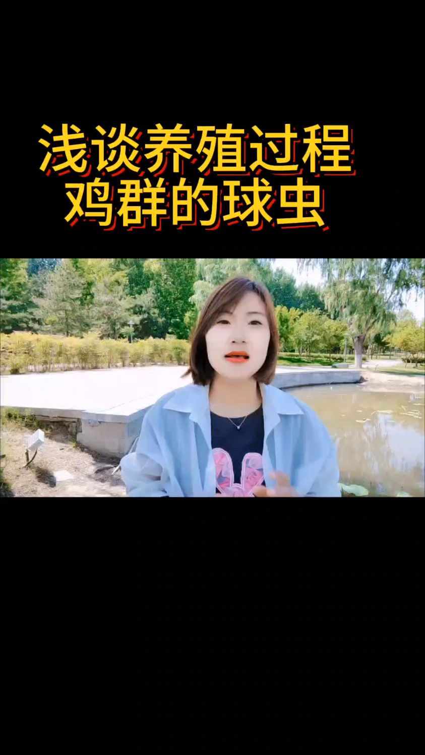 鸡群的球虫,一招搞定