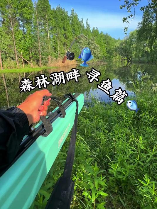 森林湖畔 寻鱼篇