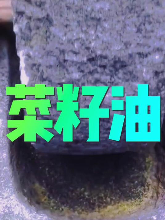 偶遇一个 流浪汉 他身体虽然在城市 但心却早已逃离