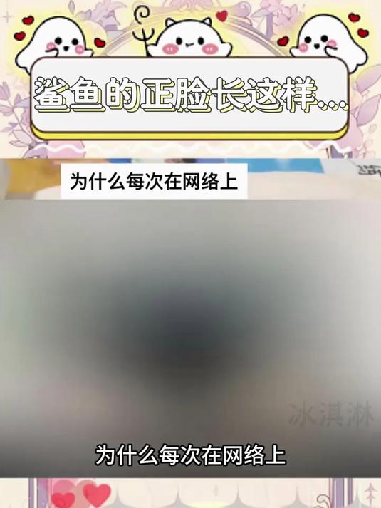 鲨鱼的正面原来长这样……