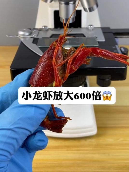 小龙虾真有寄生虫吗?