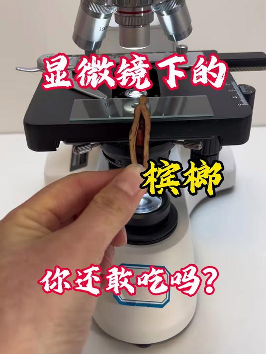 显微镜下的槟榔看完你还敢多吃吗?