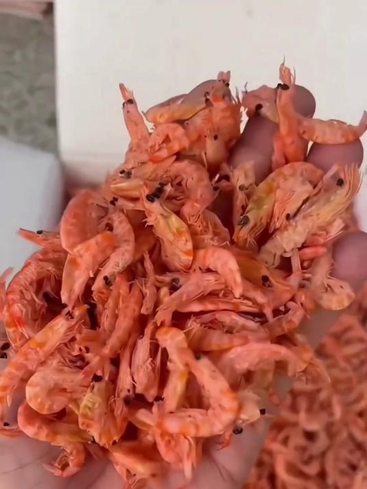 瞧瞧磷虾干,品质好可放心买