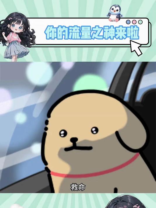 救命！现在我的流量多到能养鱼！