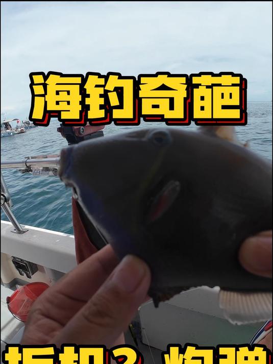海里的奇葩鱼真的多,你们都叫他什么鱼?