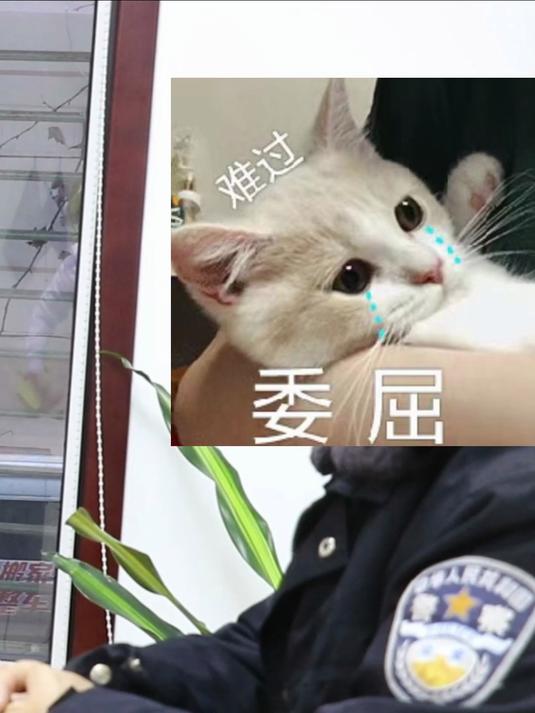 男性感染菜花,光动力治疗后复发,该换何种方法?