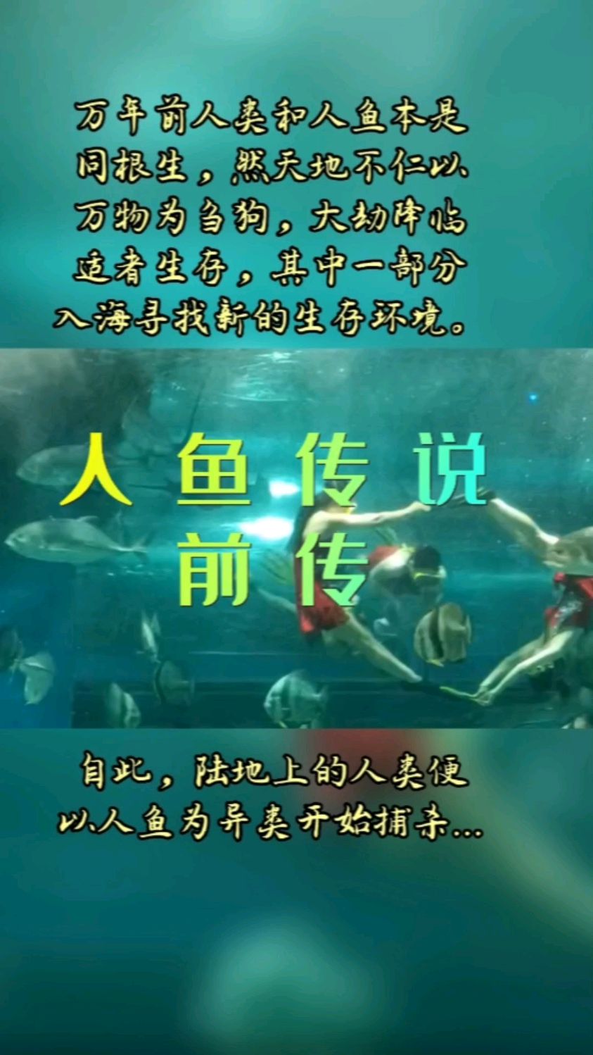 人鱼传说前传,万年前,人类和人鱼本是同根生。 然天地不仁以万物为刍狗,大劫降临,