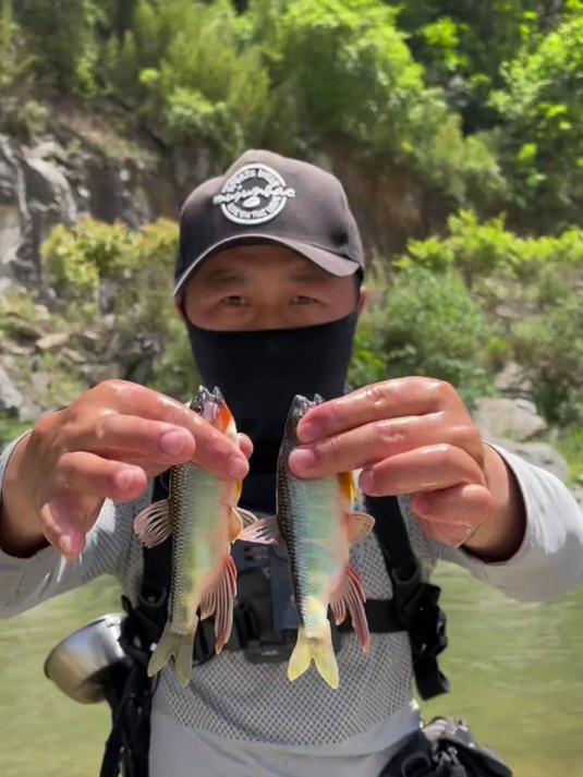 解锁南方宽鳍鱲