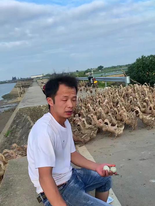 层层筛选的海鸭鲜蛋!腌制后流油沙软,品质在线～