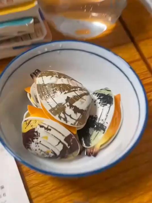 仿真鲍鱼象拔蚌超逼真呀!儿童水枪贝壳喷水,整蛊超欢乐