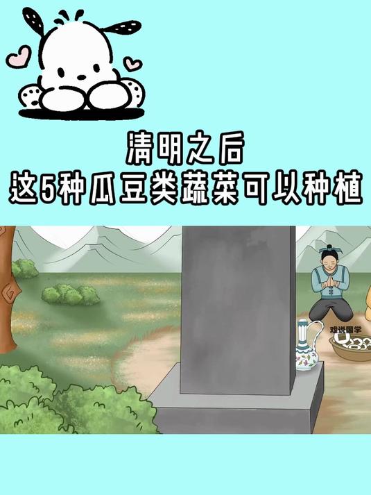 清明之后,这5种瓜豆类蔬菜可以种植了