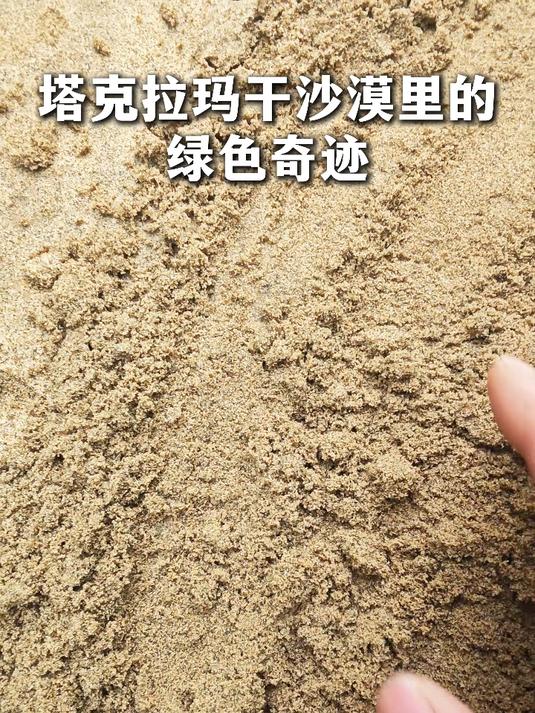 当沙漠长出苜蓿