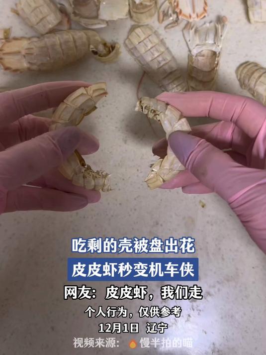 吃剩的壳被盘出花,皮皮虾秒变机车侠,网友:皮皮虾,我们走