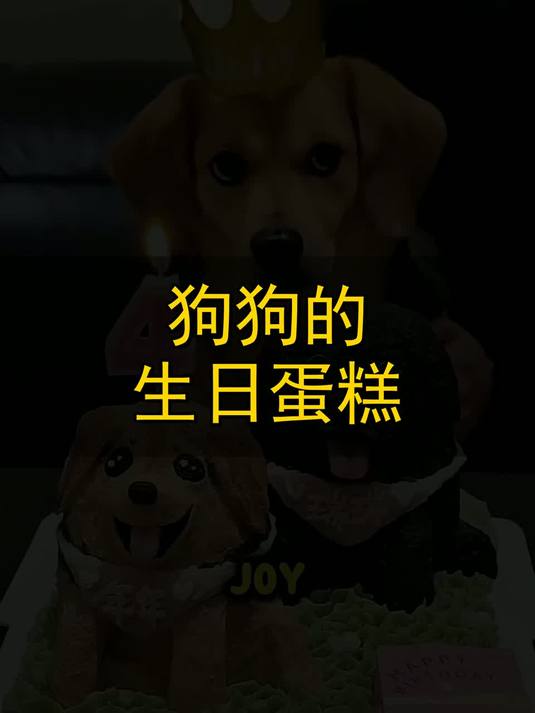狗狗的生日蛋糕！