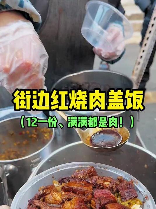 东北街边红烧肉盖饭12元一份满满都是肉