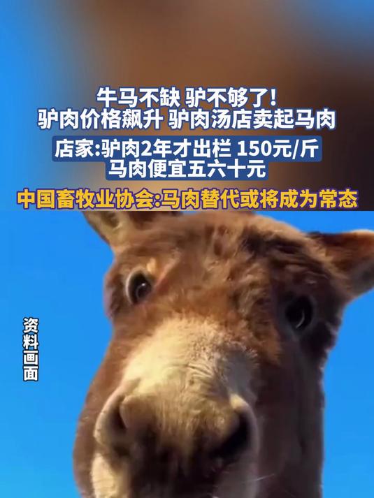 牛马不缺 驴不够了!驴肉价格飙升 驴肉汤店卖起马肉
