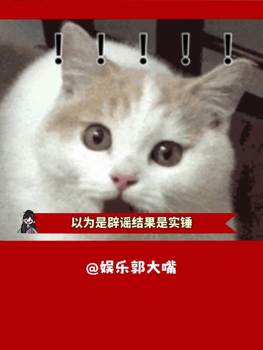 花生酱里竟然有蟑螂成分