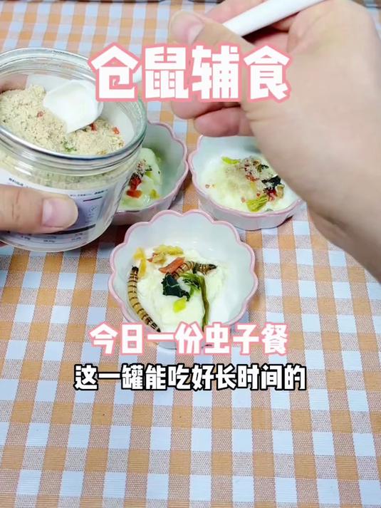 仓鼠辅食,你有给你家的仓鼠做过吗