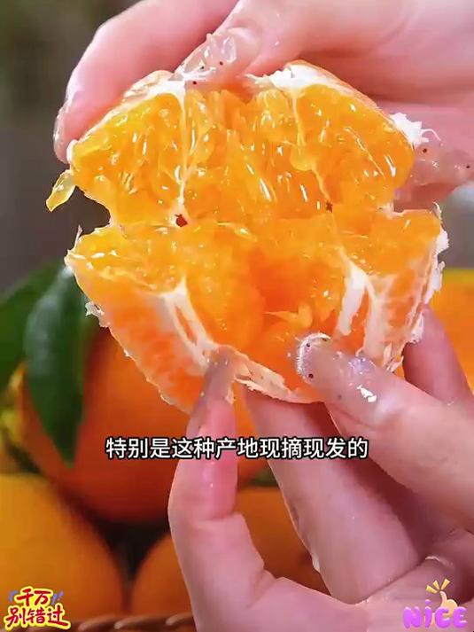 耙耙柑大果 皮薄肉嫩