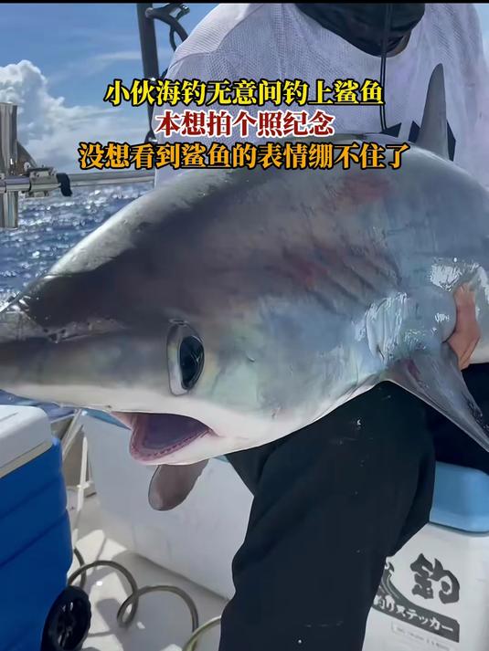 小伙海钓无意间钓上鲨鱼,没想看到鲨鱼的表情绷不住了