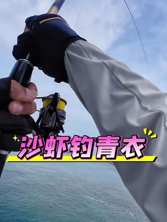 沙虾钓青衣,今天找到好位置了