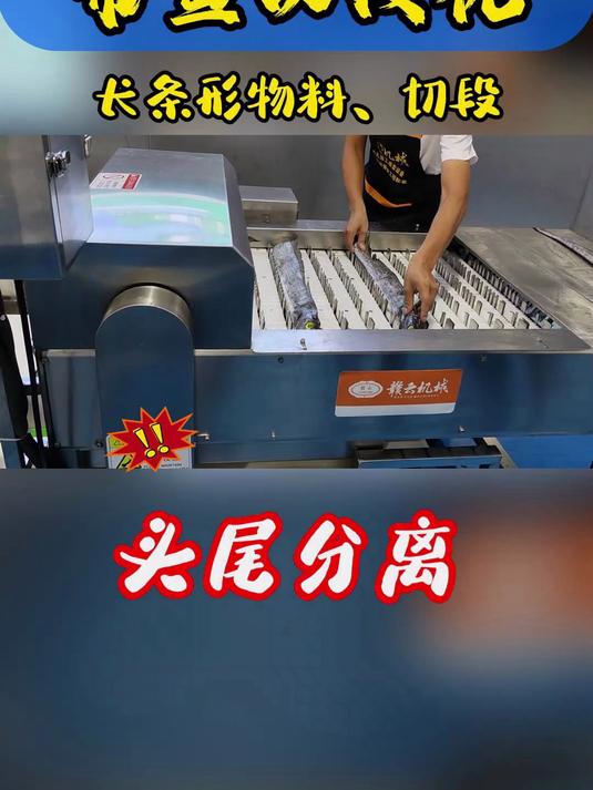 带鱼切段机:轻轻一放,快刀斩“鱼”,段段精彩!整条带鱼