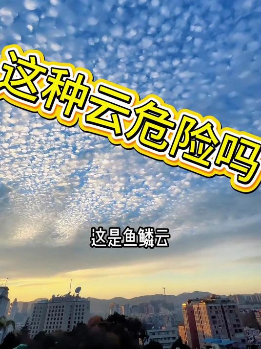 鱼鳞云危险吗
