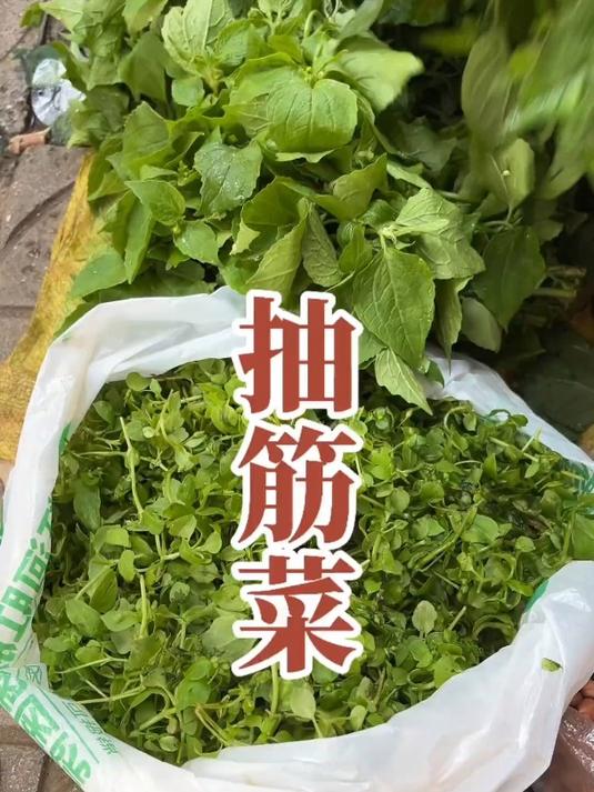 农村田间地头到处都有的抽筋菜,煮花生汤香嫩甘甜,你们吃过吗?