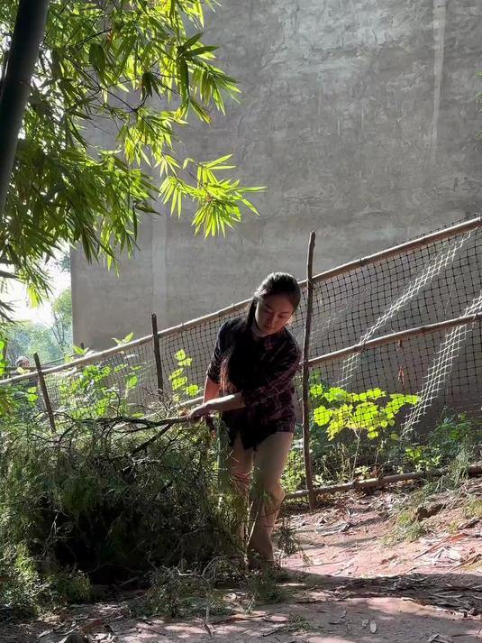 又到了秌腊肉的季节了，柏树丫秌腊肉，幸福慢节奏