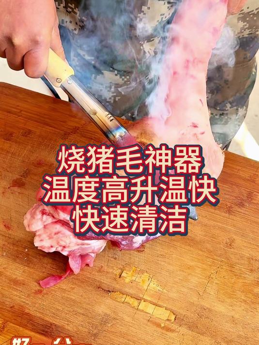 烙肉器烧猪毛家用电烙铁除毛工具猪皮猪脚去毛小型烧肉器