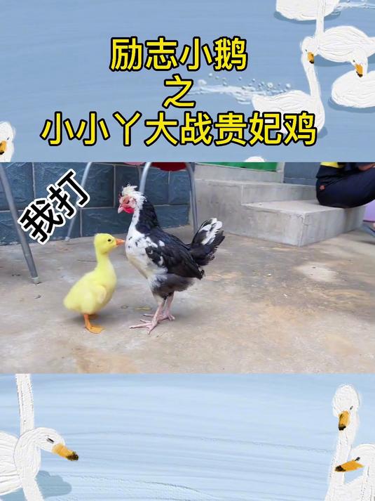 阳光下它像个孩子，为了保护小伙伴它又像一个大人