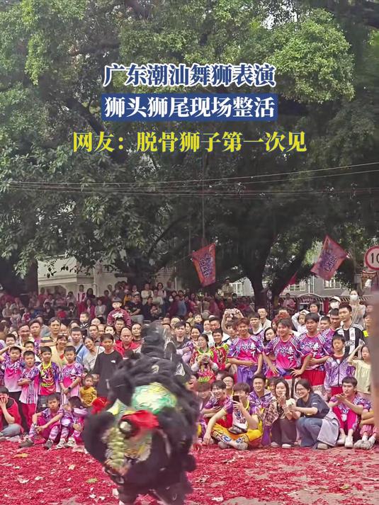 广东潮汕舞狮表演,狮头狮尾现场整活,网友:脱骨狮子第一次见