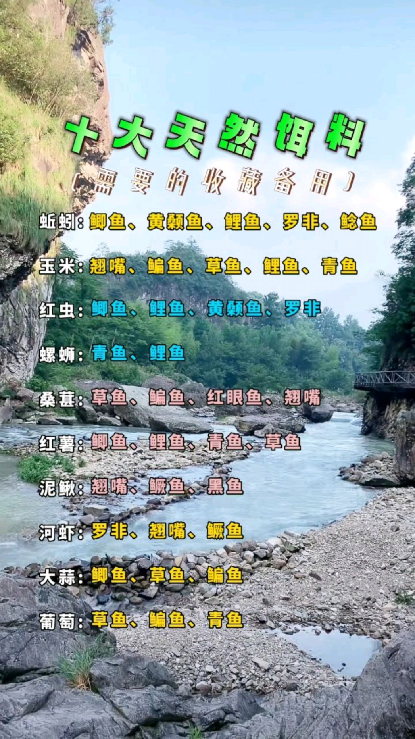 10款钓鱼的天然饵料