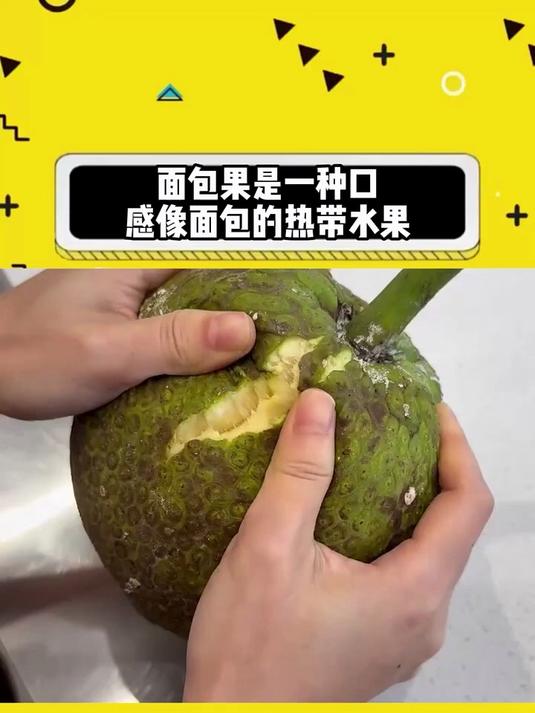 面包果是一种口感像面包的热带水果
