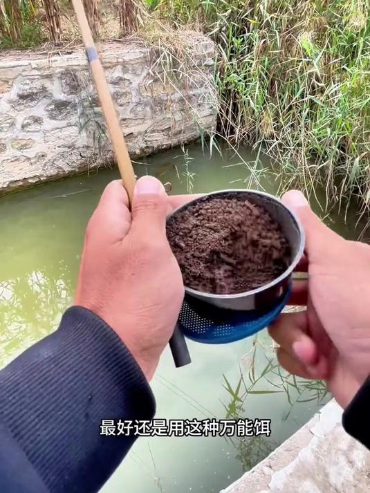 这种小河鱼是真多,钓鱼