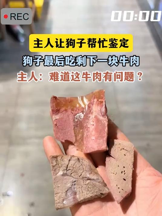 主人让狗子帮忙鉴定，狗子最后吃剩下一块牛肉