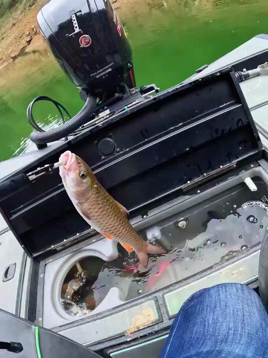 库区路亚军鱼的经验分享