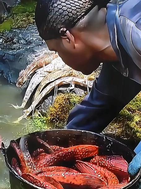 经过核废水污染,竟然所有水产生物也变异